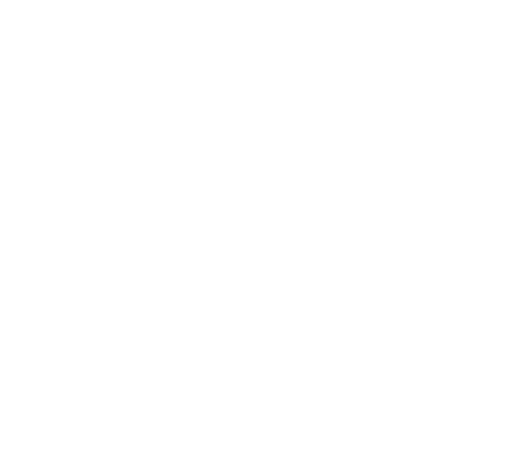 Logo N